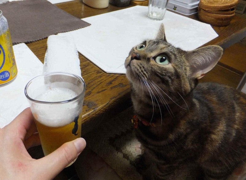 f:id:A-chi:20121006005901j:image:w360