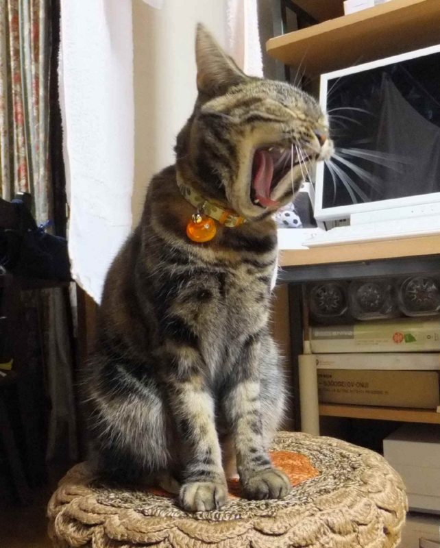 f:id:A-chi:20121009003411j:image:w360