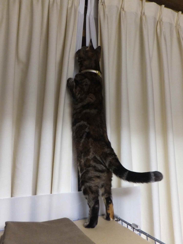 f:id:A-chi:20130411232708j:image:w360