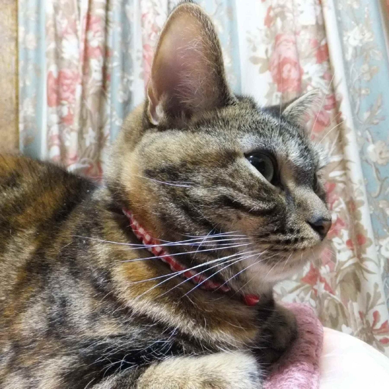 f:id:A-chi:20130417015358j:image:w360