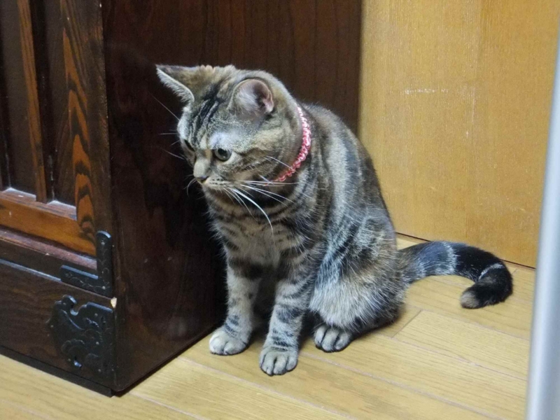 f:id:A-chi:20130419003451j:image:w360 f:id:A-chi:20130419003451j:image:w360