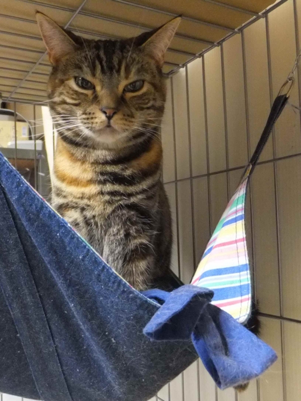 f:id:A-chi:20130503014028j:image:w360