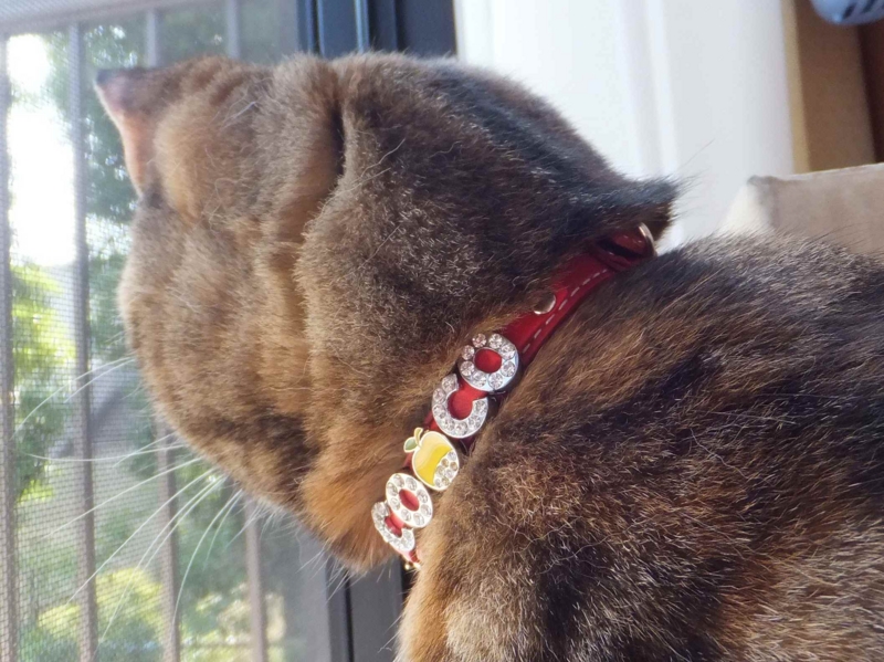 f:id:A-chi:20130604235258j:image:w360