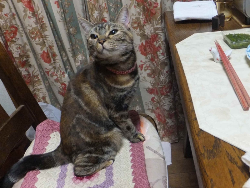 f:id:A-chi:20130610022721j:image:w360