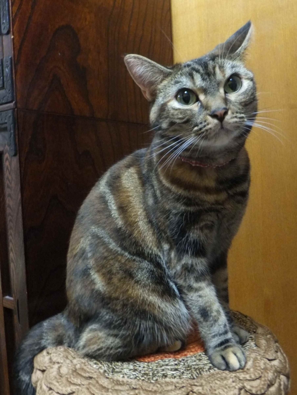 f:id:A-chi:20130826020611j:image:w360