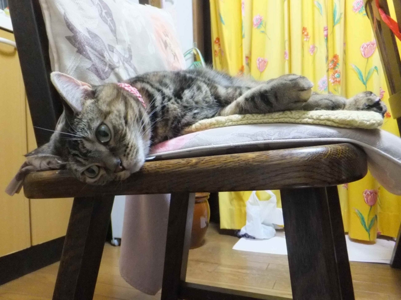 f:id:A-chi:20130921015233j:image:w360