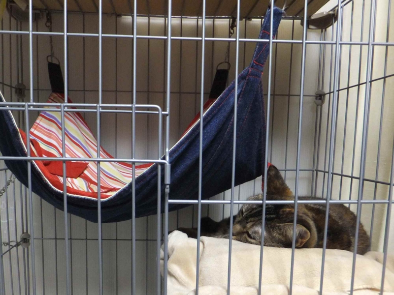 f:id:A-chi:20131113015207j:image:w360