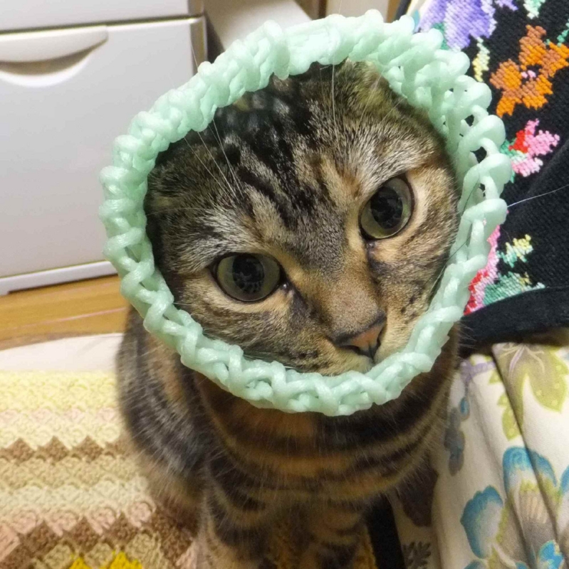 f:id:A-chi:20131120015439j:image:w360