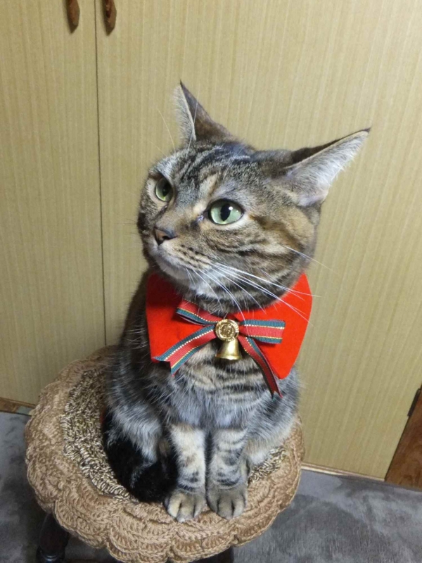 f:id:A-chi:20131205023243j:image:w360