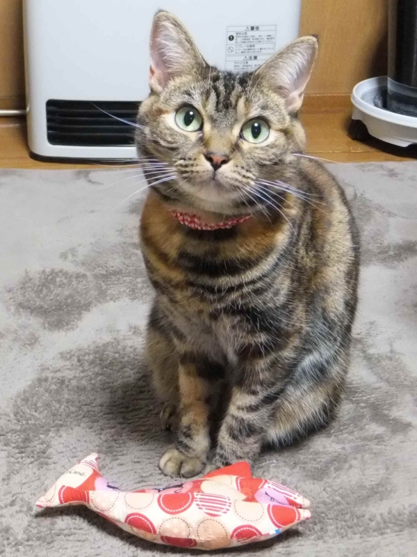 f:id:A-chi:20131214011609j:image:w360