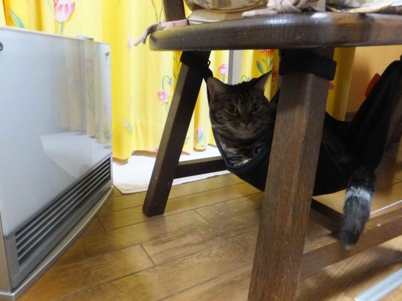 f:id:A-chi:20131220234944j:image:w360