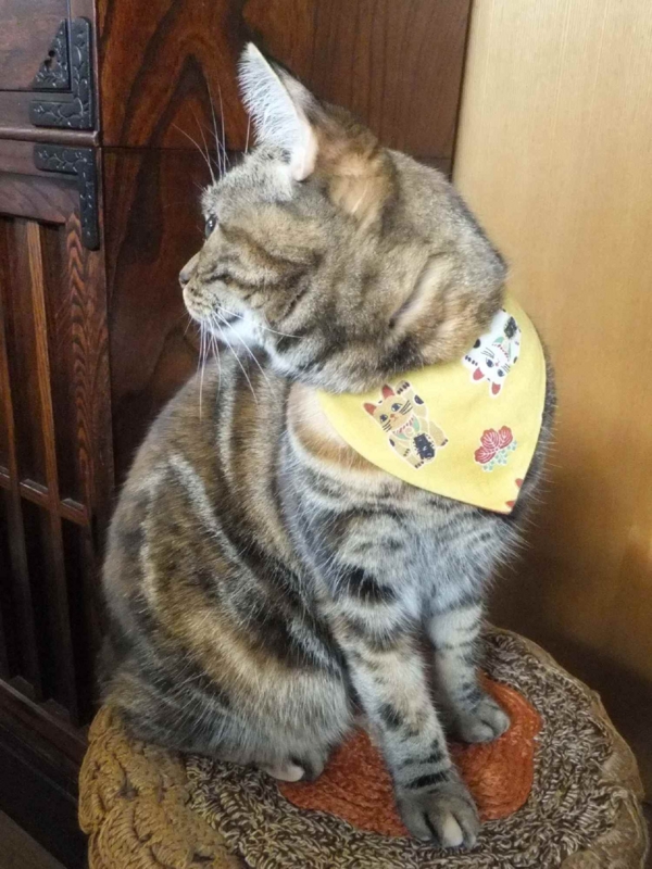 f:id:A-chi:20131231010256j:image:w360