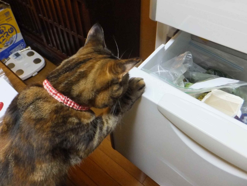 f:id:A-chi:20140112005205j:image:w360