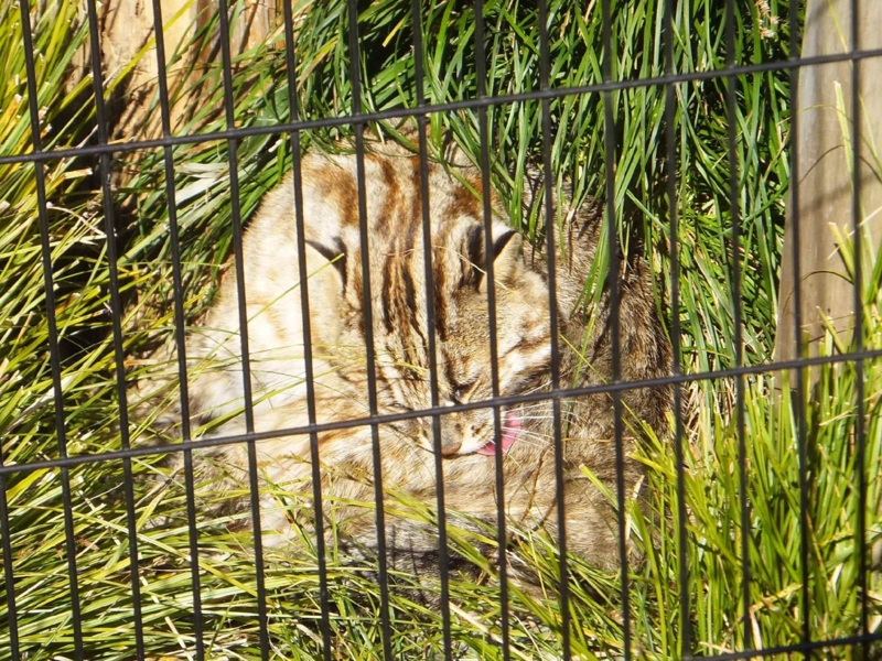 f:id:A-chi:20140114234833j:image:w360