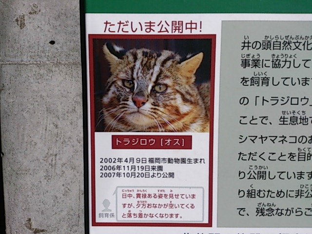 f:id:A-chi:20140114234834j:image:w360