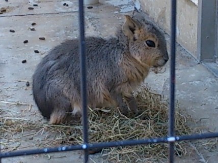 f:id:A-chi:20140114234835j:image:w360