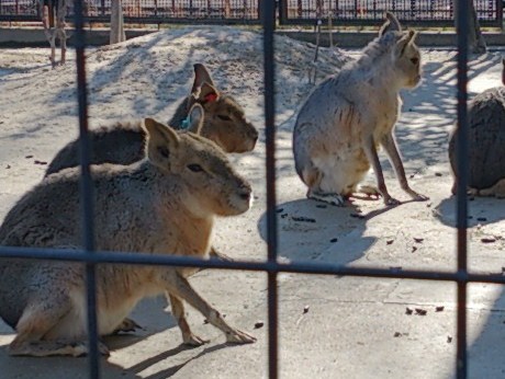 f:id:A-chi:20140114234836j:image:w360