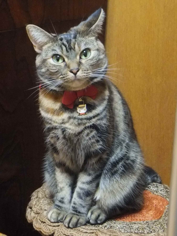 f:id:A-chi:20140128020817j:image:w360