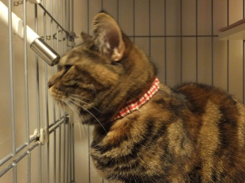 f:id:A-chi:20140330005613j:image:w360