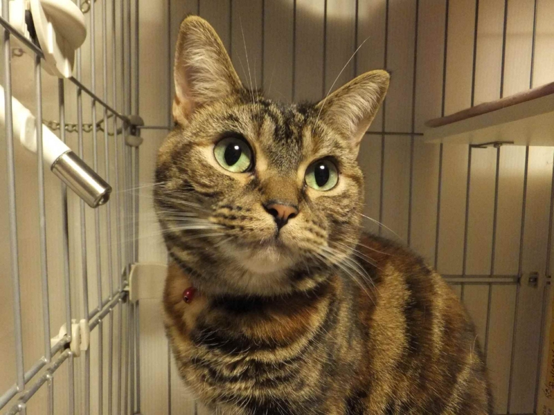 f:id:A-chi:20140330005615j:image:w360