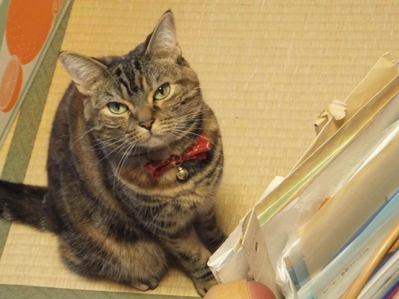 f:id:A-chi:20140608022854j:image:w360