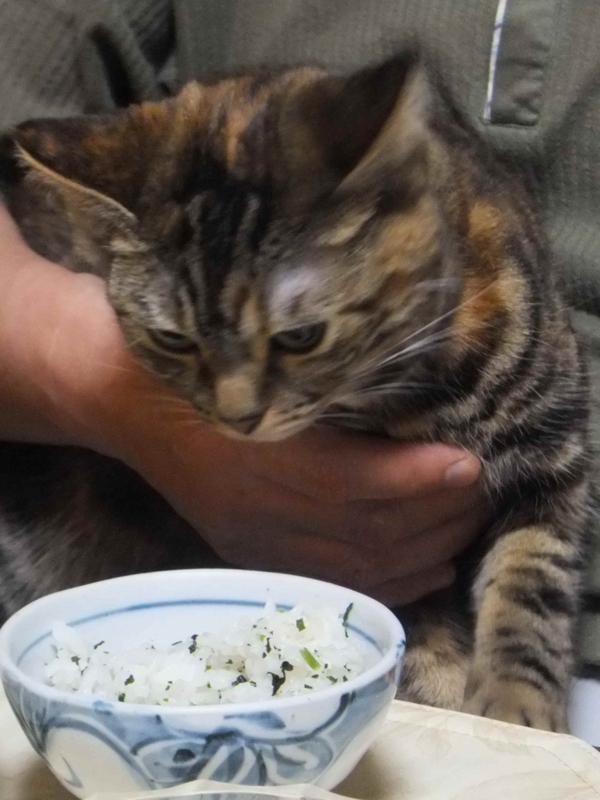 f:id:A-chi:20140614020059j:image:w360