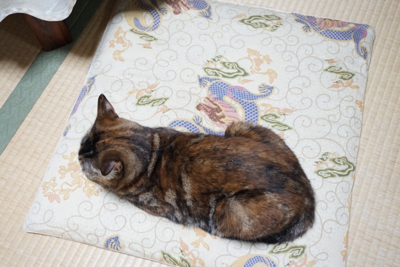 f:id:A-chi:20140813012922j:image:w420