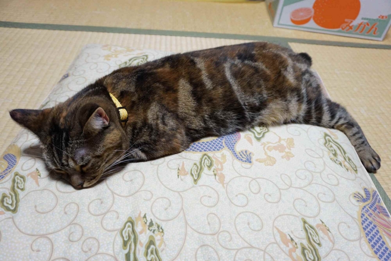 f:id:A-chi:20140909005052j:image:w420