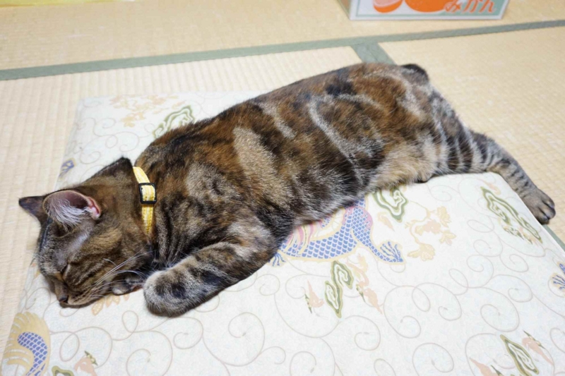 f:id:A-chi:20140909005053j:image:w420