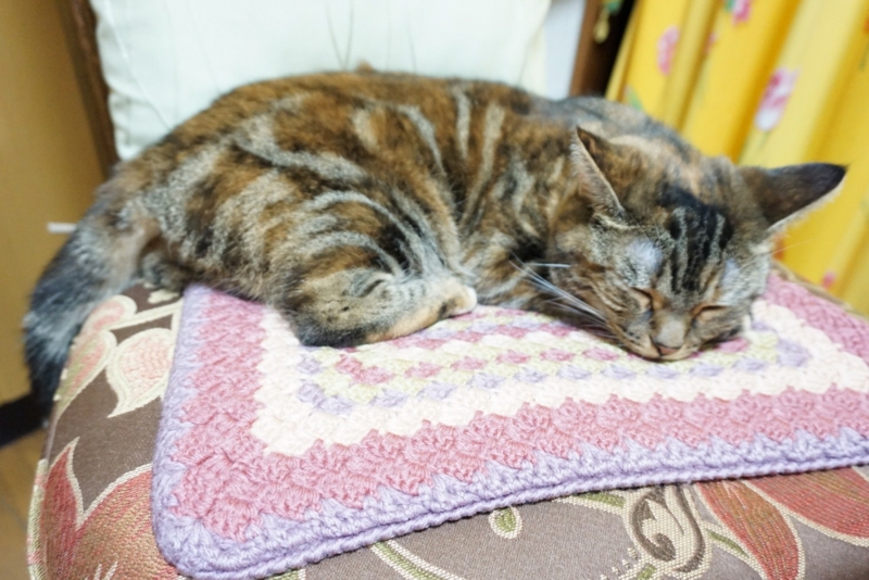 f:id:A-chi:20140917003800j:image:w420