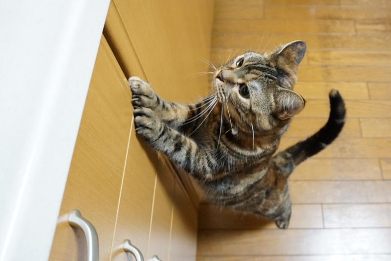 f:id:A-chi:20141004024406j:image:w420