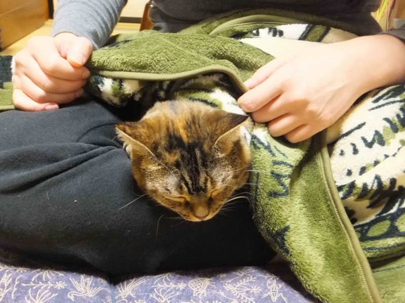 f:id:A-chi:20141014011917j:image:w420