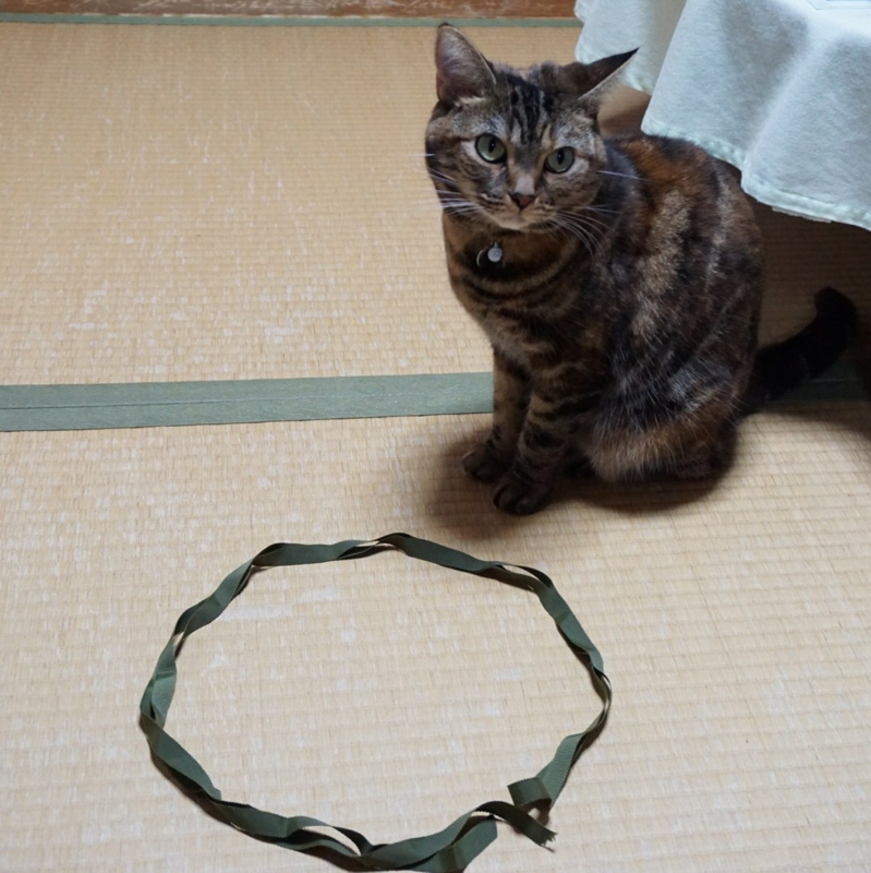 f:id:A-chi:20141024014213j:image:w360