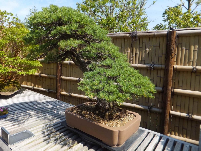 f:id:A-chi:20150429234008j:image:w450