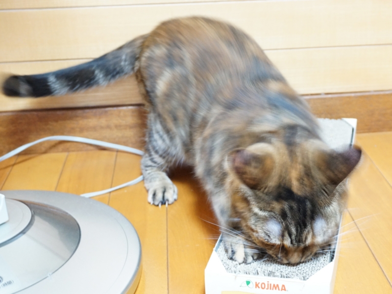 f:id:A-chi:20150907013335j:image:w490