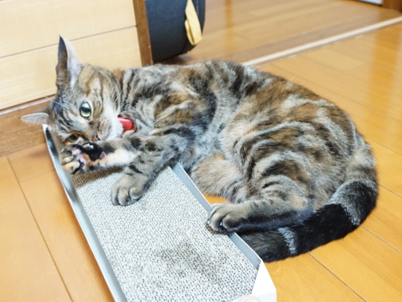 f:id:A-chi:20150907013336j:image:w490