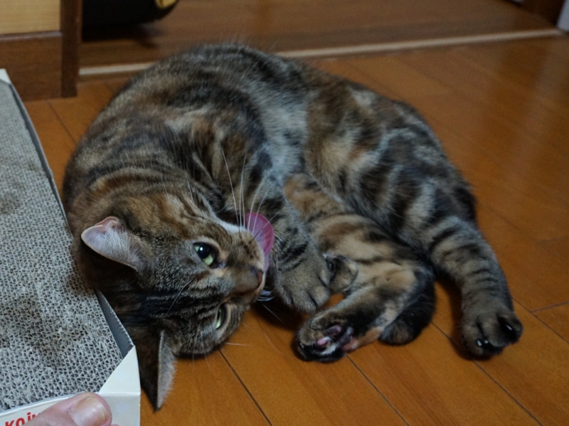 f:id:A-chi:20150907013338j:image:w490