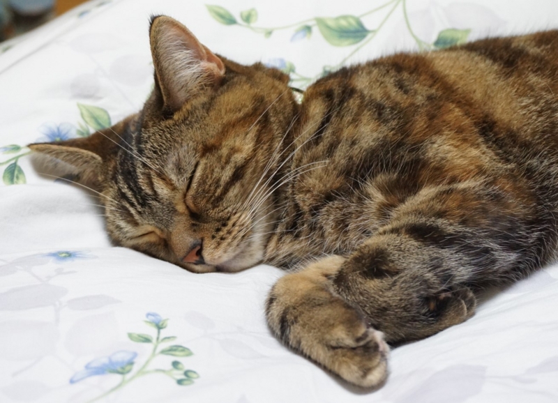 f:id:A-chi:20160925015056j:image:w490