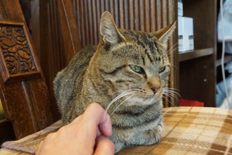 f:id:A-chi:20161020014122j:image:w490