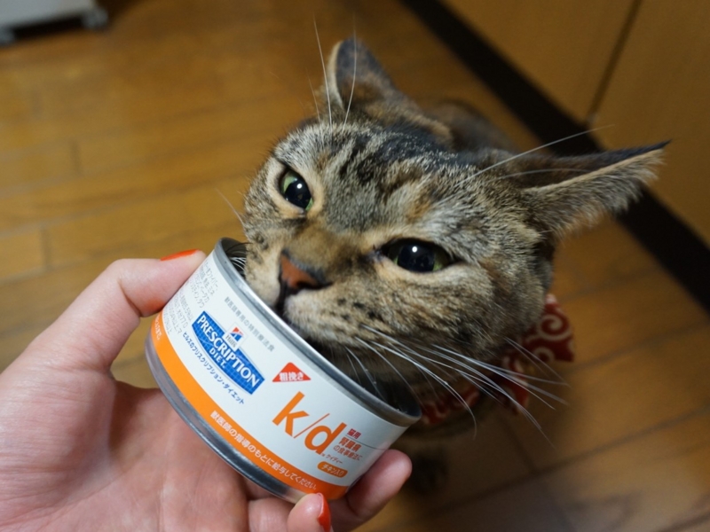 f:id:A-chi:20161128021504j:image:w490