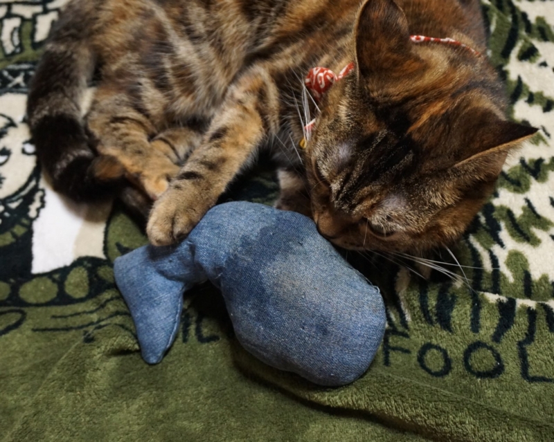 f:id:A-chi:20161215021053j:image:w490