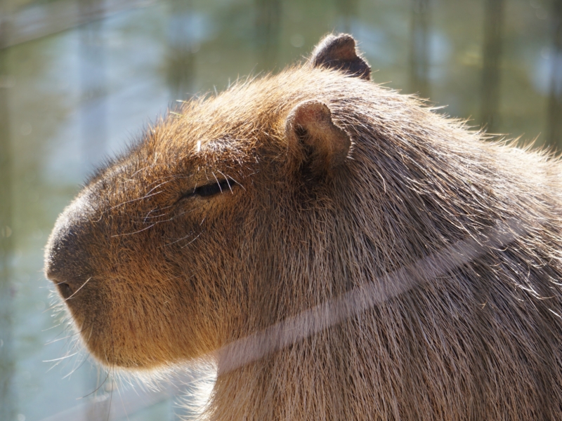 f:id:A-chi:20170227020921j:image:w490 f:id:A-chi:20170227020921j:image:w490