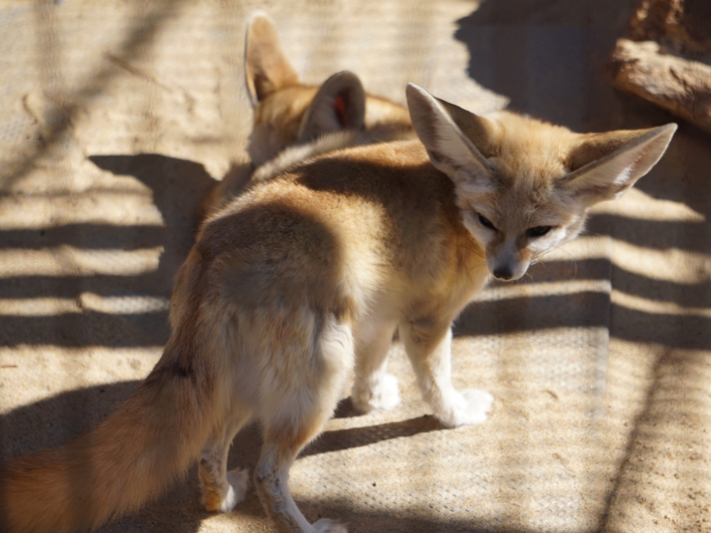 f:id:A-chi:20170227020922j:image:w490 f:id:A-chi:20170227020922j:image:w490