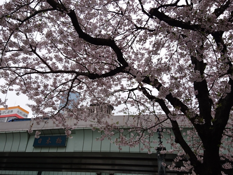 f:id:A-chi:20170409015123j:image:w490