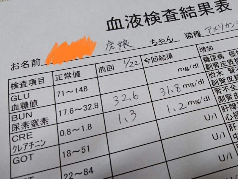 f:id:A-chi:20170424020622j:image:w490