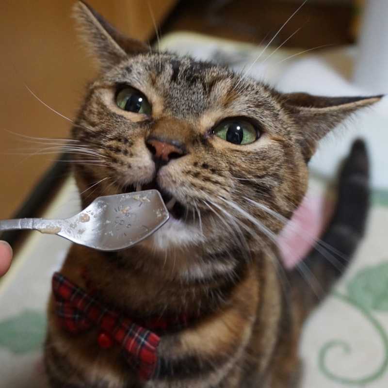 f:id:A-chi:20170811030734j:image:w470