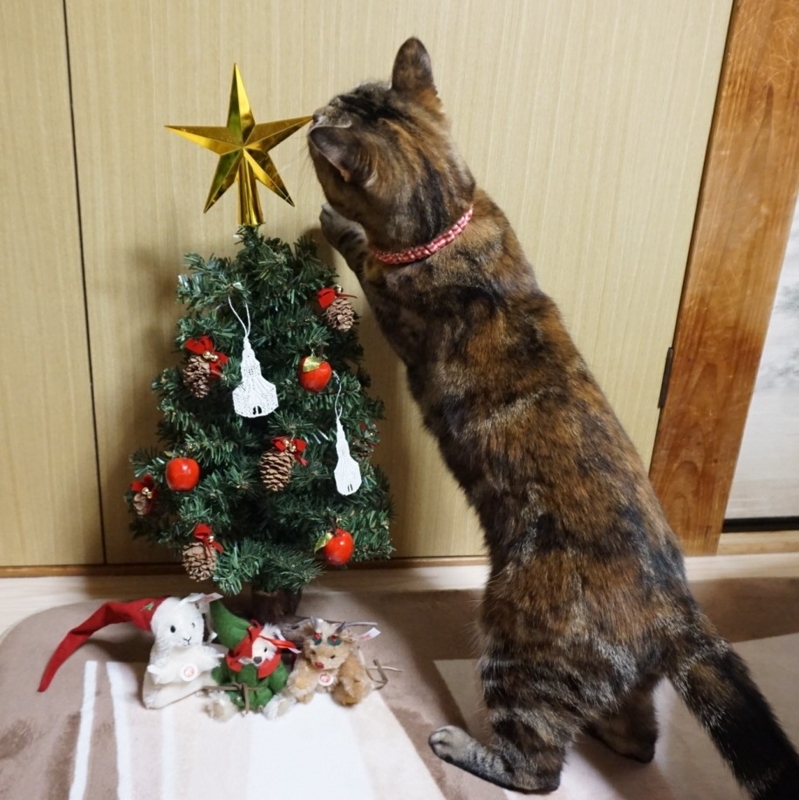 f:id:A-chi:20171224222636j:image:w470