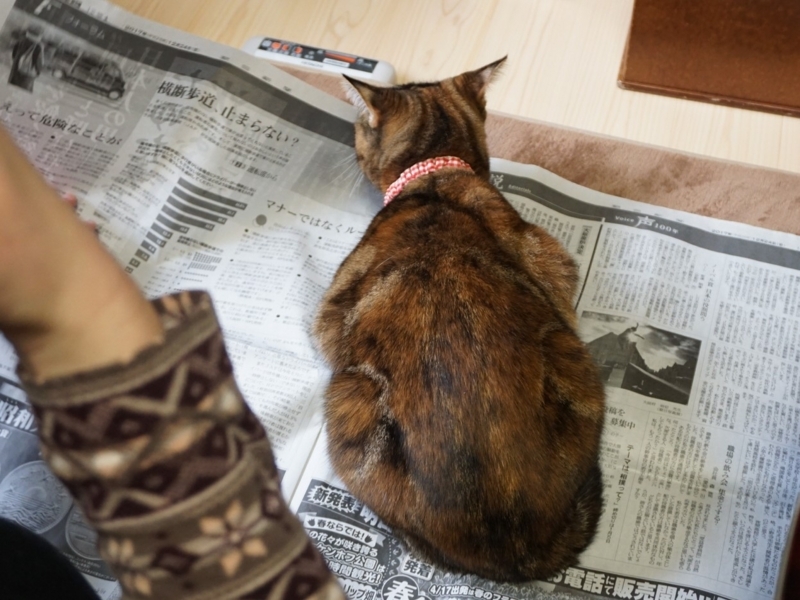 f:id:A-chi:20171228022554j:image:w490