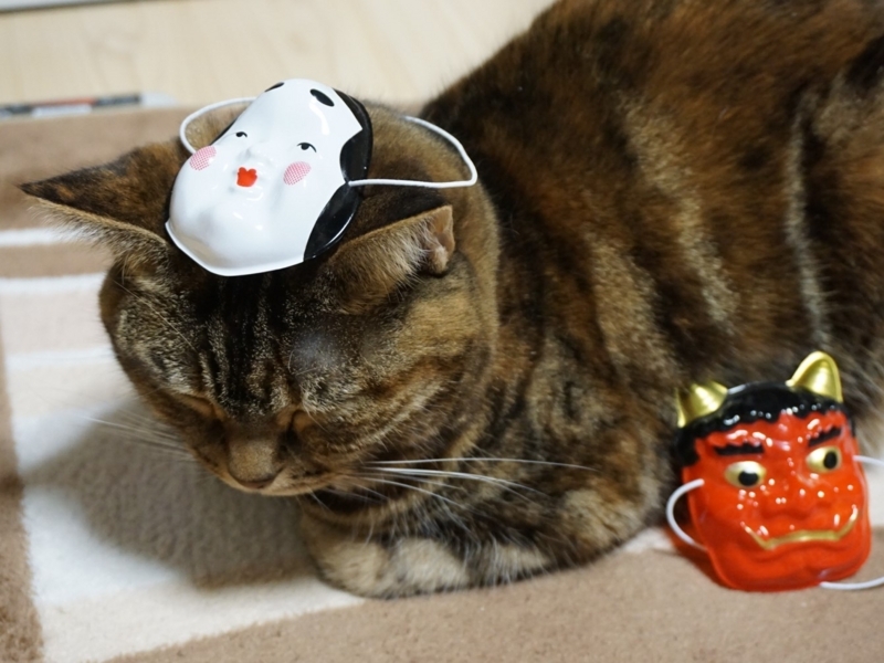 f:id:A-chi:20180204030736j:image:w490