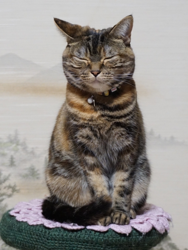 f:id:A-chi:20180206015830j:image:w420